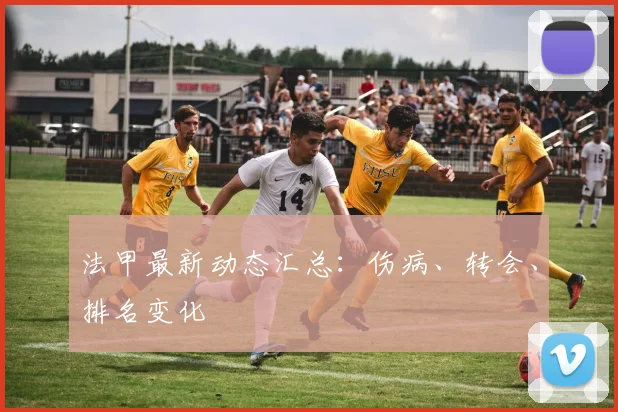 法甲最新动态汇总：伤病、转会、排名变化